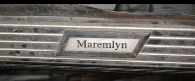 Лот: 25713120. Фото: 1. Подножки Maremlyn. Кузов
