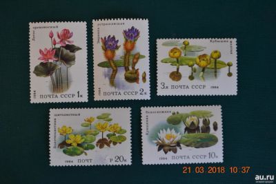Лот: 12543041. Фото: 1. Марки СССР 1984г. Водные растения... Марки