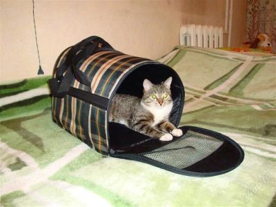 Лот: 2315079. Фото: 1. сумка-переноска для кошки. Домики, переноски, клетки, когтеточки