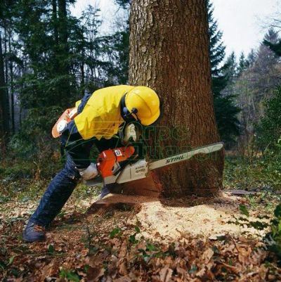 Лот: 1500291. Фото: 1. Бензопила Stihl MS 440 (5.4л.с... Бензо-, мотоинструмент