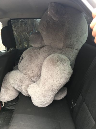 Лот: 11587543. Фото: 1. Плюшевый медведь Teddy. Мягкие