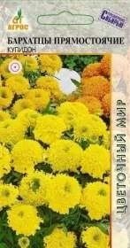 Лот: 11024175. Фото: 1. Бархатцы Купидон 0.3г/Агрос. Садовые цветы