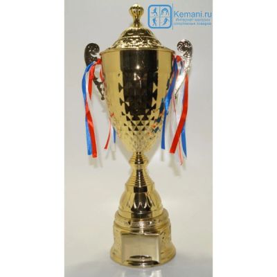 Лот: 17438630. Фото: 1. Кубок наградной, высота 73 см. Спортивная символика и атрибутика