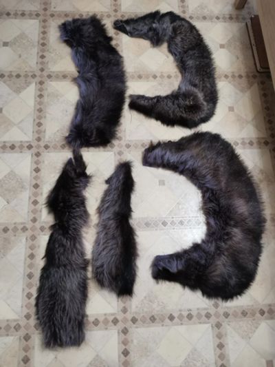 Лот: 3204375. Фото: 1. Мех енота. Другое (одежда, обувь, галантерея)