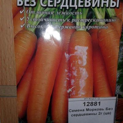 Лот: 9122222. Фото: 1. Семена / овощи / Морковь / Без... Овощи