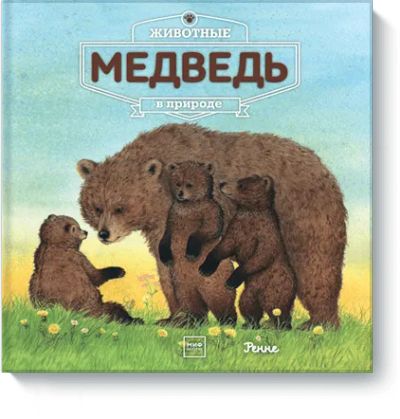 Лот: 24461381. Фото: 1. Животные в природе. Медведь. Художественная для детей