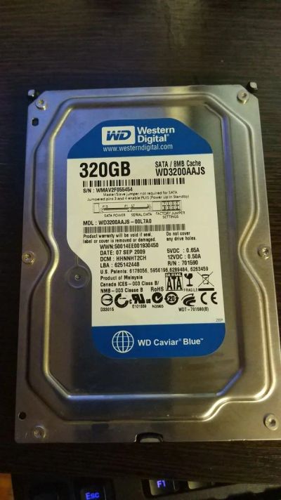 Лот: 14833771. Фото: 1. Жесткий диск WD 320 гб SATA. Жёсткие диски (HDD)
