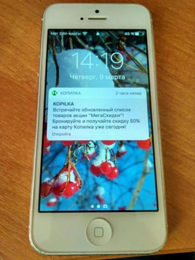 Лот: 9536470. Фото: 1. iPhone 5 16gb. Смартфоны
