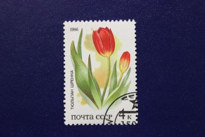 Лот: 6855918. Фото: 1. Почтовая марка №4070 в коллекцию. Марки