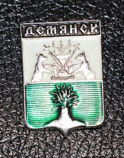 Лот: 3487083. Фото: 1. Город-герб. Демянск. Юбилейные