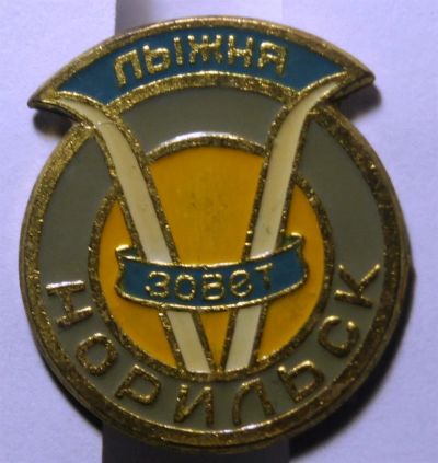 Лот: 3317381. Фото: 1. Значок.Лыжня зовет.Норильск.(081... Другое (значки, медали, жетоны)