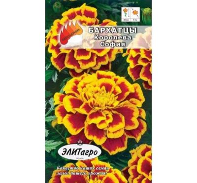 Лот: 11024239. Фото: 1. Бархатцы Королева София откл... Садовые цветы