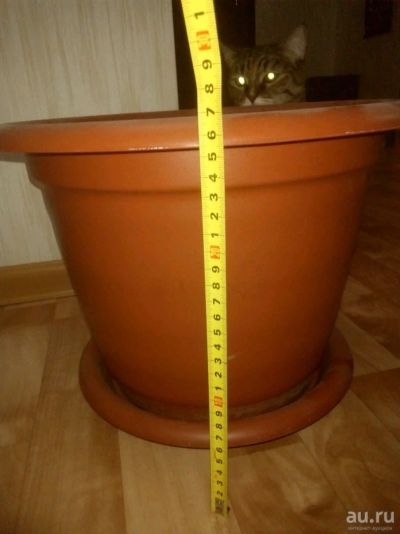 Лот: 13205510. Фото: 1. Горшок для цветов. Кашпо, горшки, вазоны для цветов