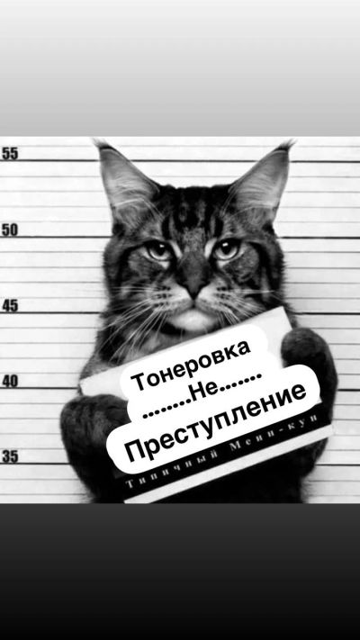 Лот: 25522306. Фото: 1. Тонировка авто стекл. Диагностика, ремонт и техническое обслуживание авто