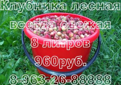 Лот: 2999838. Фото: 1. Лесная Клубника (неочищенная... Ягоды, орехи