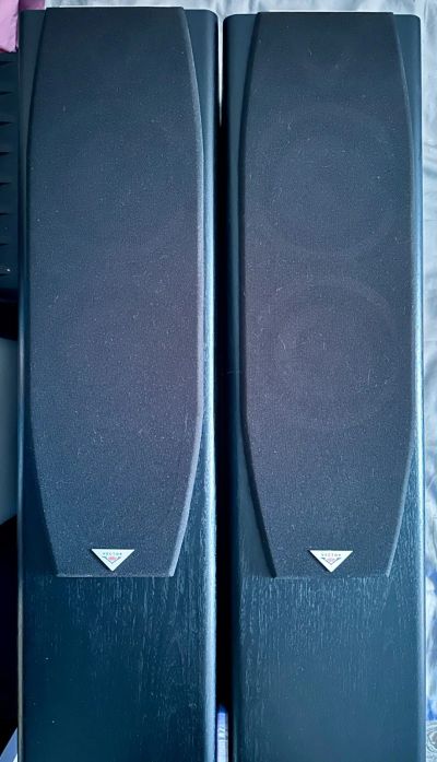 Лот: 23455402. Фото: 1. Напольная акустика Vector HX310... Пассивные акустические системы