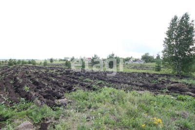 Лот: 25295463. Фото: 1. участок , ДНТ Ермолаевское-2 ДНТ... Земельные участки