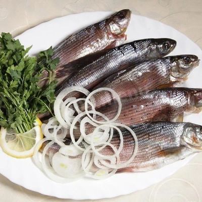 Лот: 14388148. Фото: 1. Хариус малосольный. Икра, рыба, морепродукты