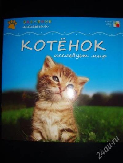 Лот: 1258083. Фото: 1. Забавные малыши. Котенок исследует... Другое (детям и родителям)
