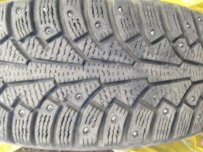 Лот: 4589840. Фото: 1. Nokian Hakkapeliitta 5. Шины