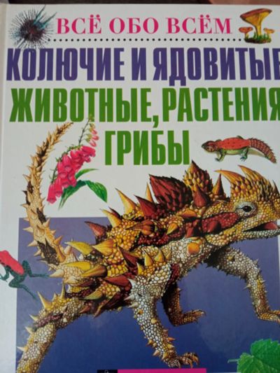 Лот: 19107078. Фото: 1. энциклопедия. Познавательная литература