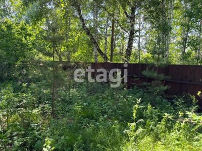Лот: 25289507. Фото: 1. участок , посёлок Красный Пахарь... Земельные участки