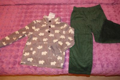 Лот: 3489920. Фото: 1. Теплый костюм Carters - 1 (3-5... Верхняя одежда