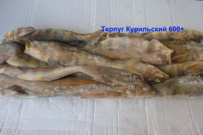Лот: 10048771. Фото: 1. Терпуг Курильский. Икра, рыба, морепродукты
