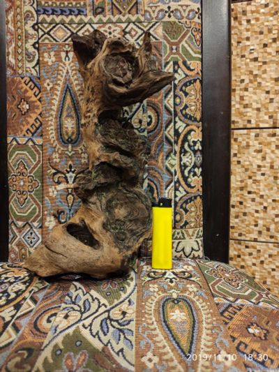 Лот: 14984415. Фото: 1. Коряга 3. Грунты, украшения, наполнения