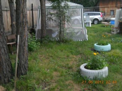 Лот: 3443252. Фото: 1. Дача СНТ "Строитель" торг!!!. Дачи