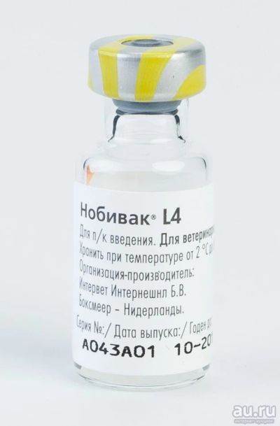 Лот: 11044367. Фото: 1. Вакцина Нобивак (Nobivac) L4... Косметика для животных