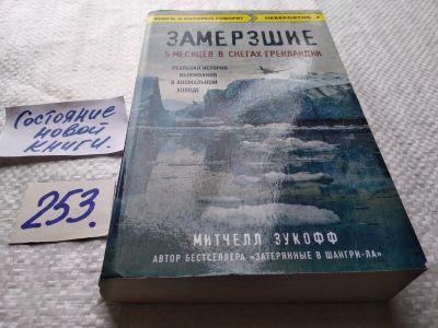 Лот: 17666012. Фото: 1. Замерзшие. 5 месяцев в снегах... Художественная