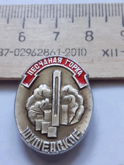 Лот: 18276538. Фото: 1. (№11558) значки Шушенское Песчанная... Юбилейные