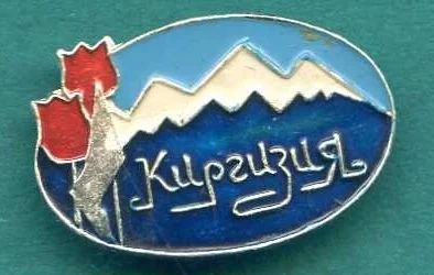 Лот: 11000078. Фото: 1. Знак Киргизия. Другое (значки, медали, жетоны)
