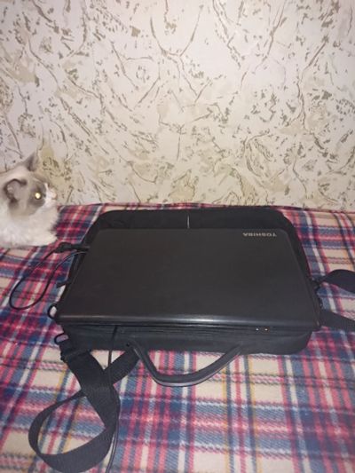Лот: 17211098. Фото: 1. Ноутбук Toshiba satellite C50D-A-K8K. Ноутбуки