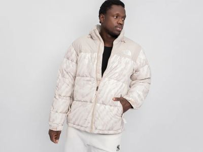 Лот: 24978550. Фото: 1. Куртка The North Face. Верхняя одежда