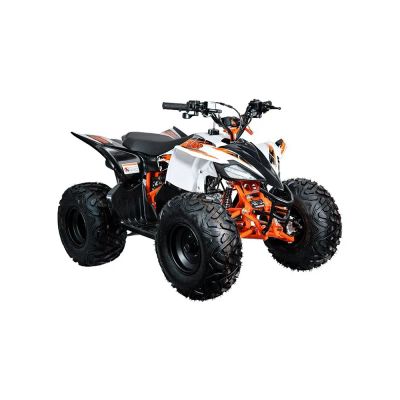 Лот: 25900239. Фото: 1. Квадроцикл KAYO AT110 (ПТС). Снегоходы, квадроциклы