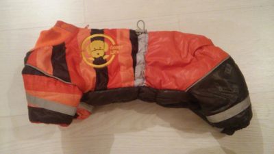 Лот: 6570988. Фото: 1. Той терьер,комбез,комбинезон,одежда... Ошейники, одежда, конное снаряжение
