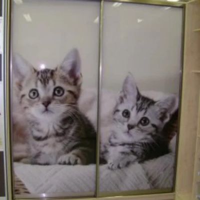 Лот: 8898127. Фото: 1. Встроенный шкаф с фотопечатью... Шкафы, шкафы-купе