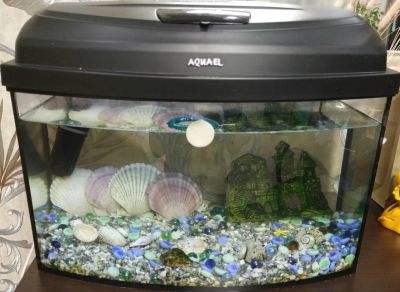 Лот: 16413426. Фото: 1. Аквариум. Аквариумы, террариумы