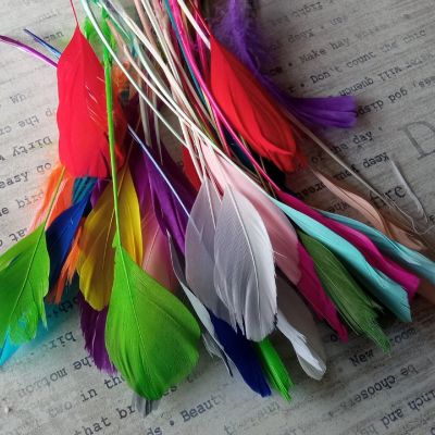 Лот: 18016483. Фото: 1. Перья для сережек и ловцов снов. Бижутерия ручной работы