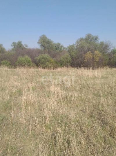 Лот: 25297010. Фото: 1. участок , коттеджный посёлок Есаулово... Земельные участки
