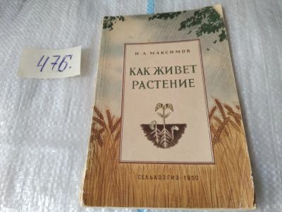 Лот: 17455031. Фото: 1. Максимов Н.А. Как живет растение... Биологические науки