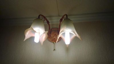 Лот: 4583766. Фото: 1. светильник. Другое освещение