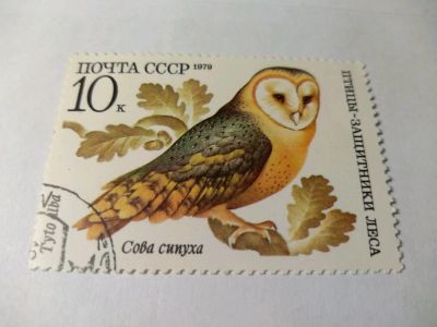 Лот: 13934368. Фото: 1. Марка ссср сова сипуха 1979. Марки