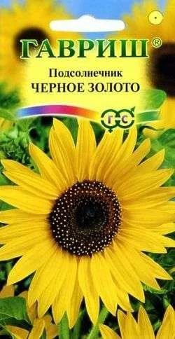 Лот: 11025466. Фото: 1. Подсолнечник Черное золото 0,5... Садовые цветы