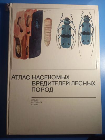 Лот: 20675872. Фото: 1. Новак Грозинка Стары Атлас насекомых... Энциклопедии