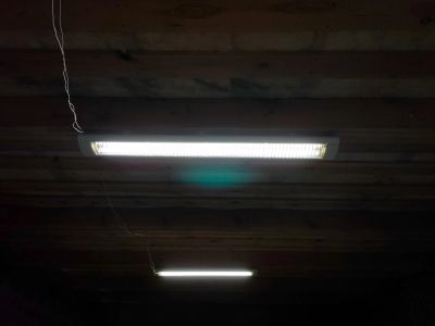 Лот: 19818759. Фото: 1. Светильники люминесцентные. Люстры, потолочные и подвесные светильники