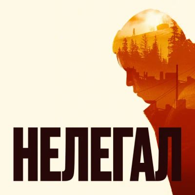 Лот: 24291528. Фото: 1. Нелегал. Видеозаписи, фильмы