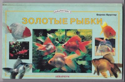 Лот: 23439558. Фото: 1. Золотые рыбки. Домашние животные